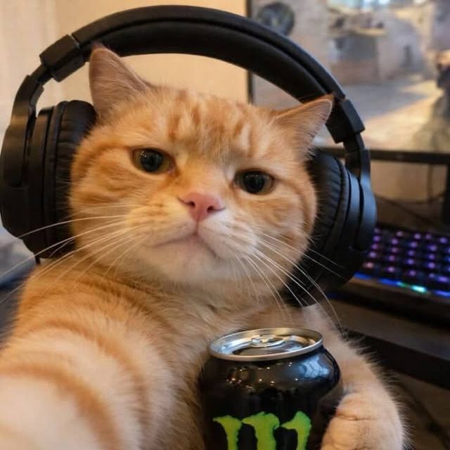 Faceit Avatar