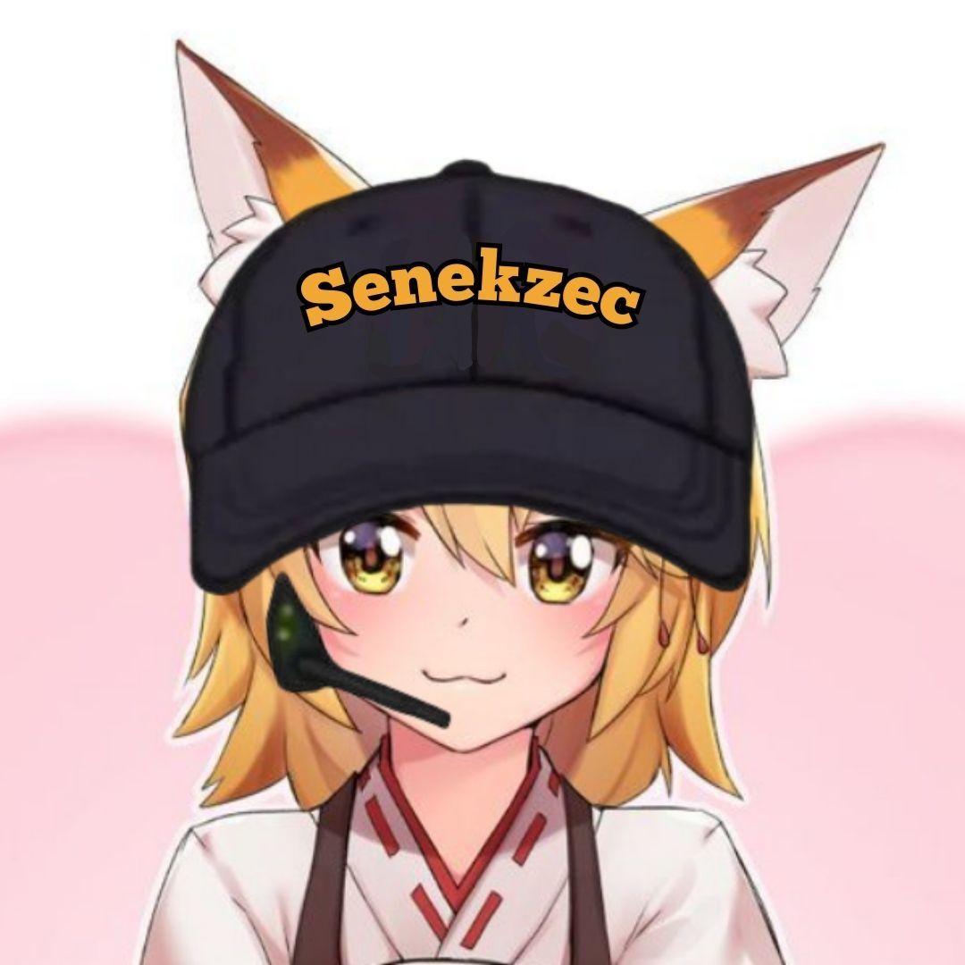 Senekzec avatar