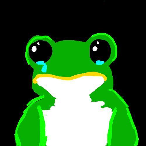 Player Frog1ng avatar