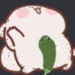 rCookie1 avatar