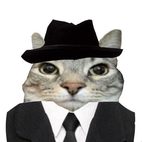 HaFear avatar