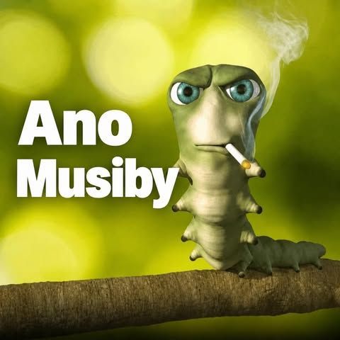 ninjadipzw
