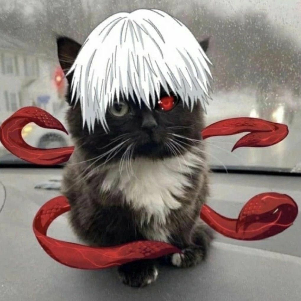 saukitto