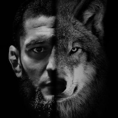 -WoLF2H avatar