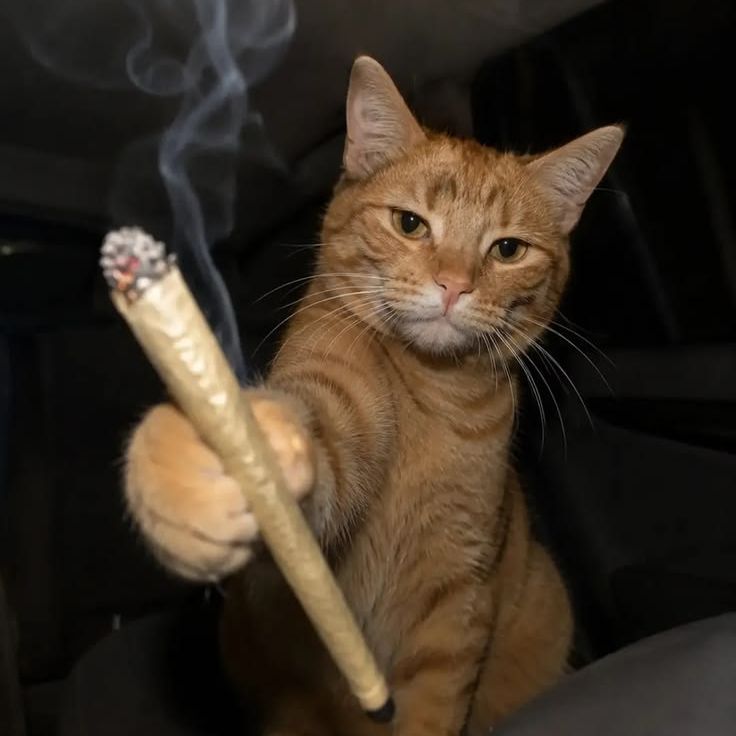 ggwel0st
