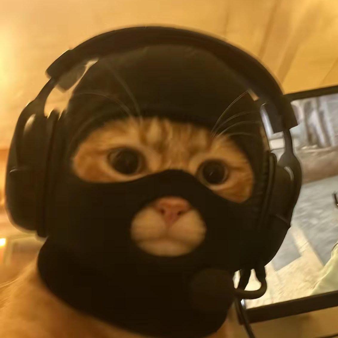 Madafook avatar