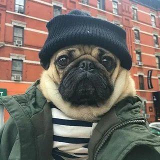 TREPEET avatar