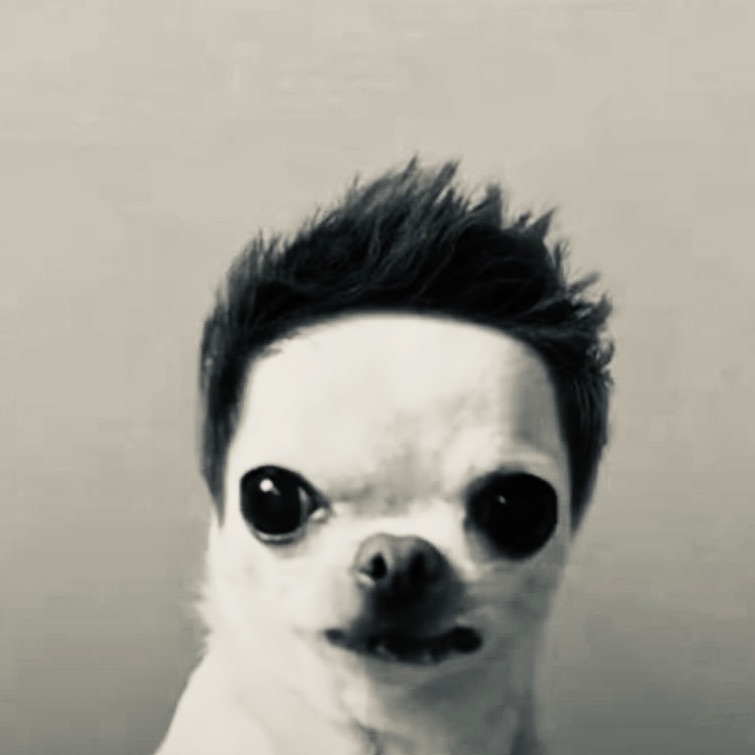 Igorvpive
