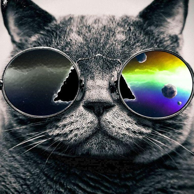 Flummoxed avatar