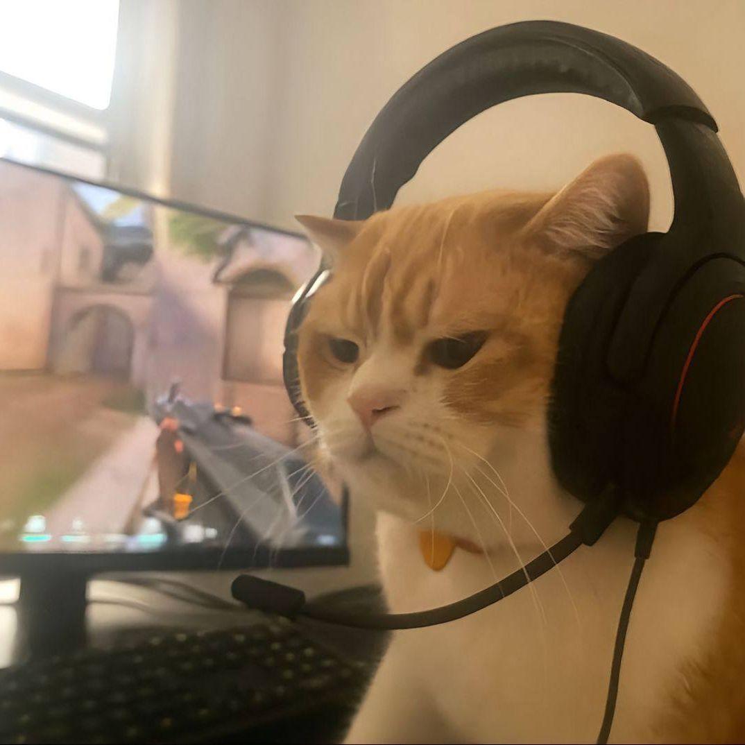 Jey-Dog avatar