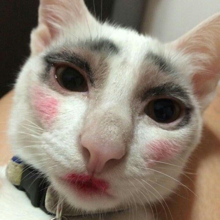 Butsekik avatar