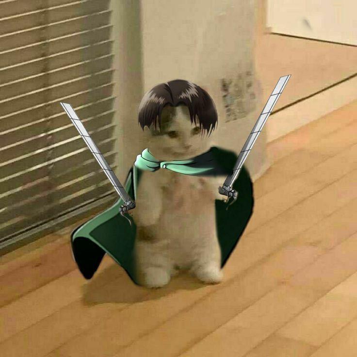 JaGHOUL avatar
