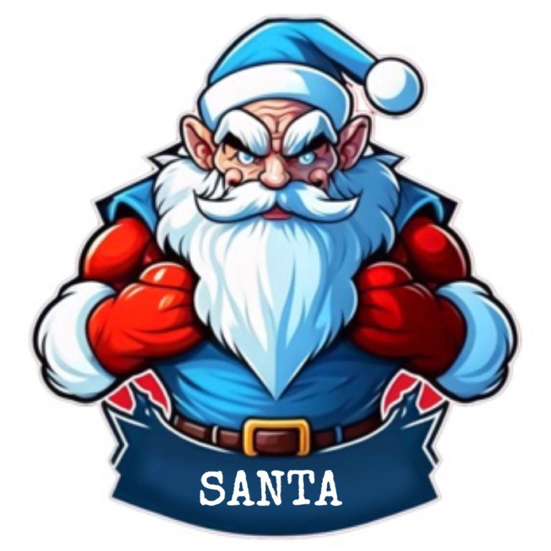 Silly_Santa avatar