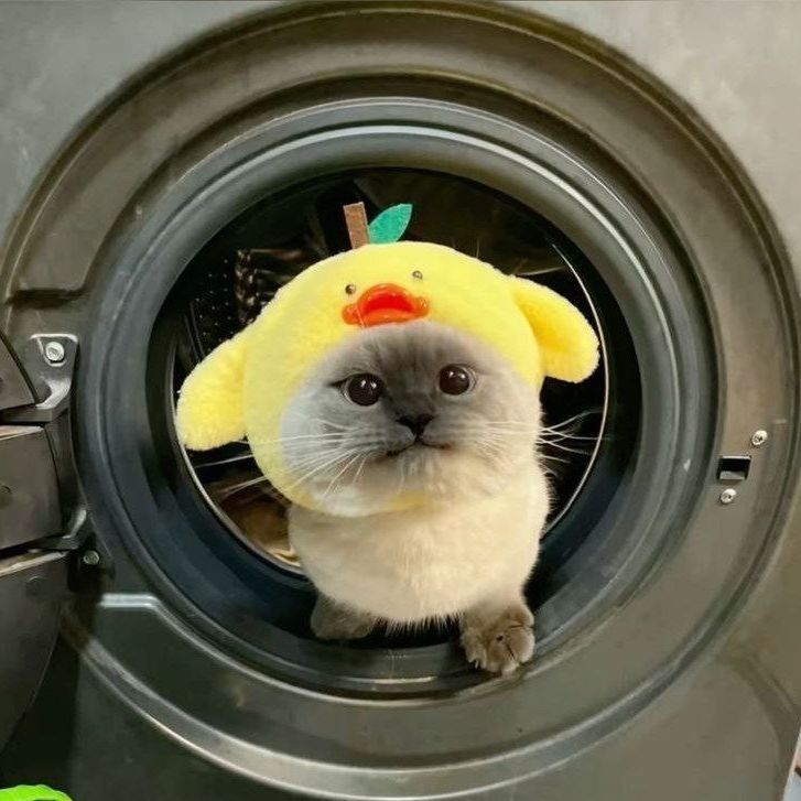 yadongg