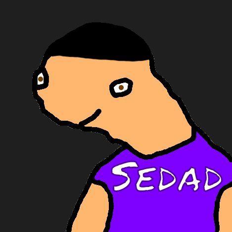 Player Sedad1337 avatar