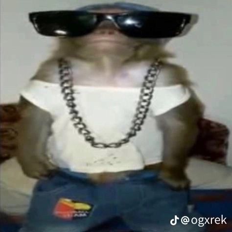 snakuss