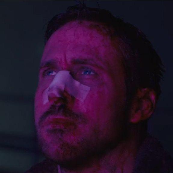 PURPLE_L avatar