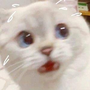 7onyw