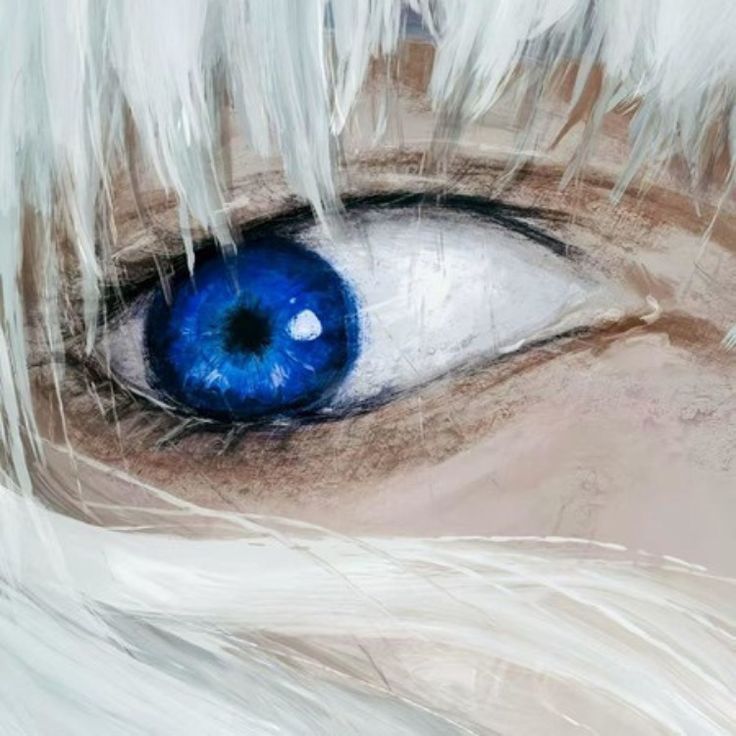 zenoks11