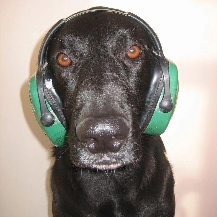 P0dM3FF0M