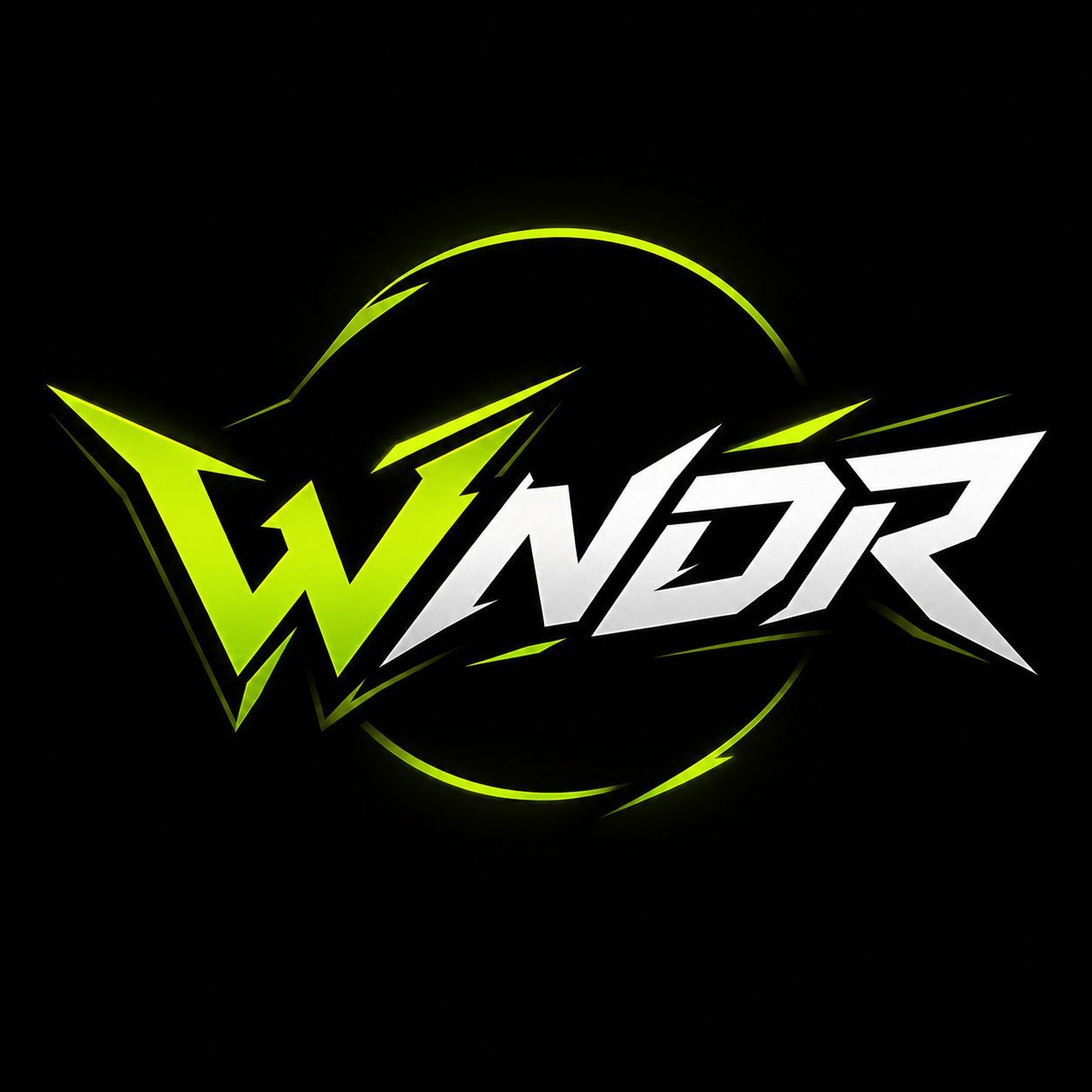 WNDR11 FACEIT avatar