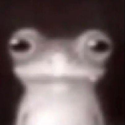 mLH1337 avatar