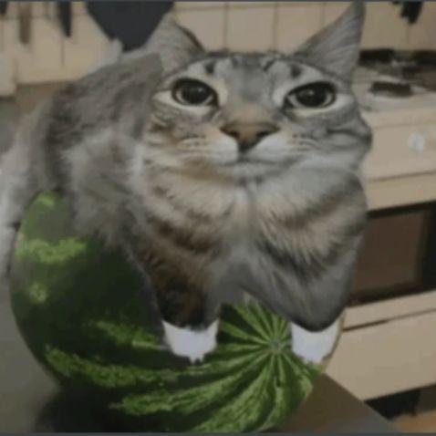 BredOG avatar