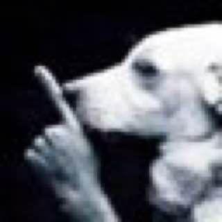 bag_33 avatar