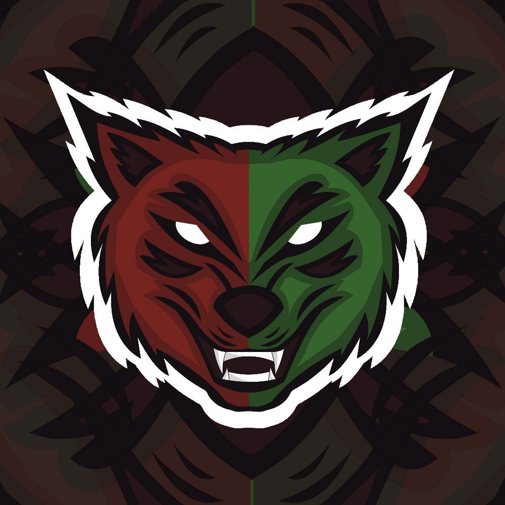team_kynius