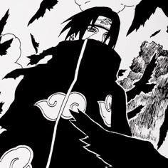 haishe avatar