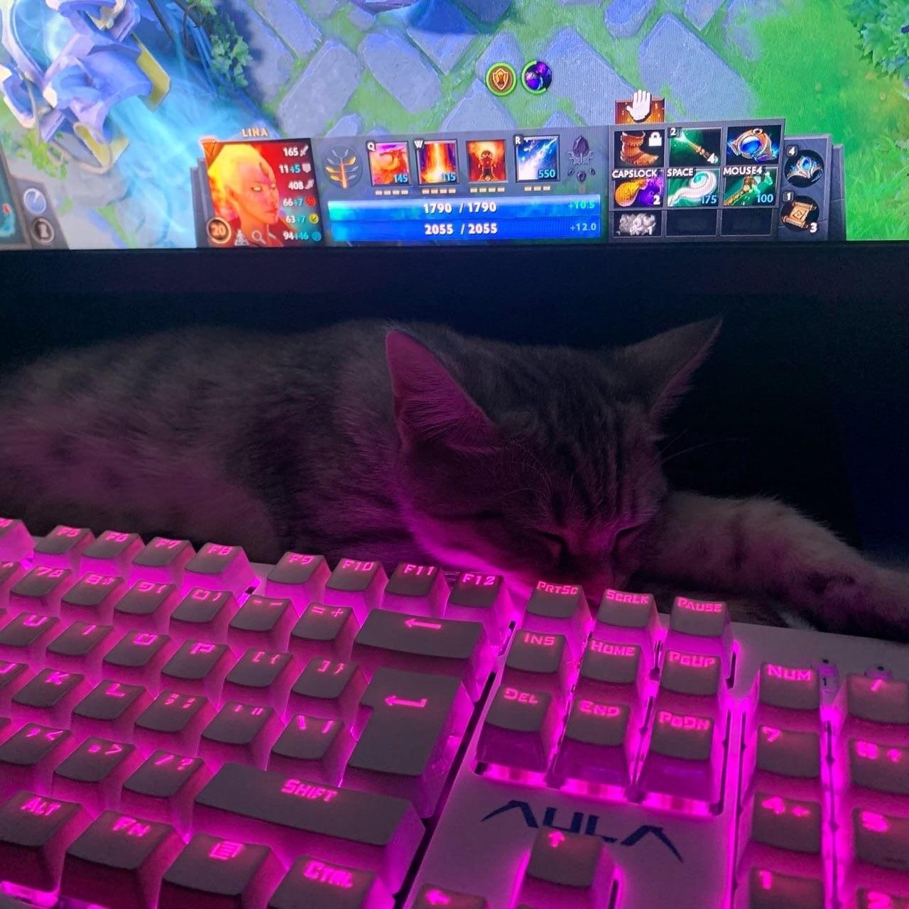 flozy4ik0 avatar