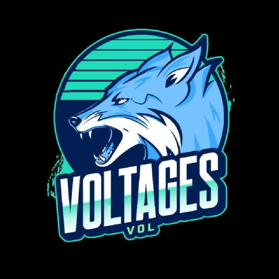 V0ltageS