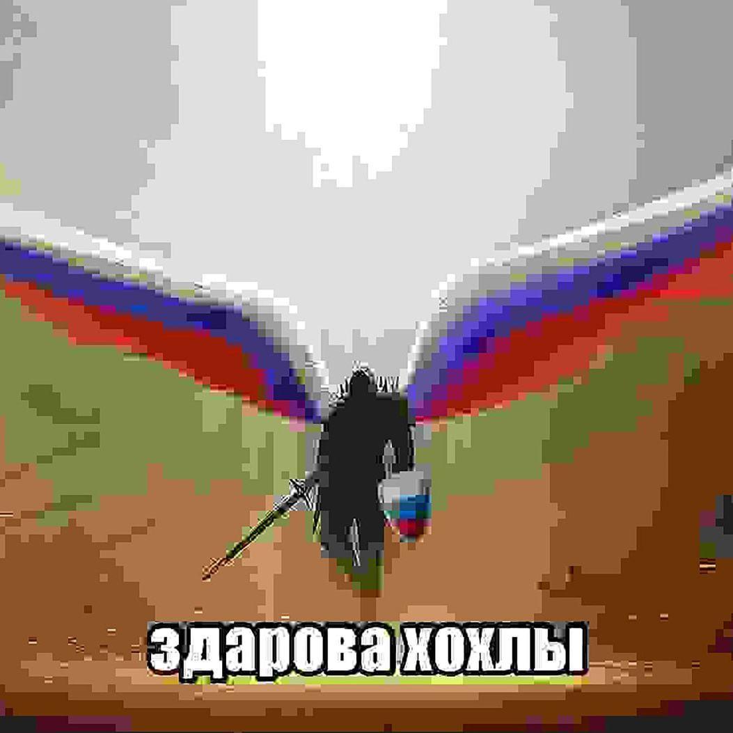 sakashimaaa avatar