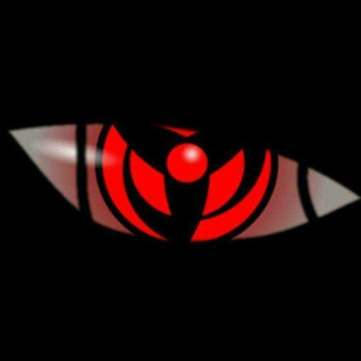 -elYa- avatar
