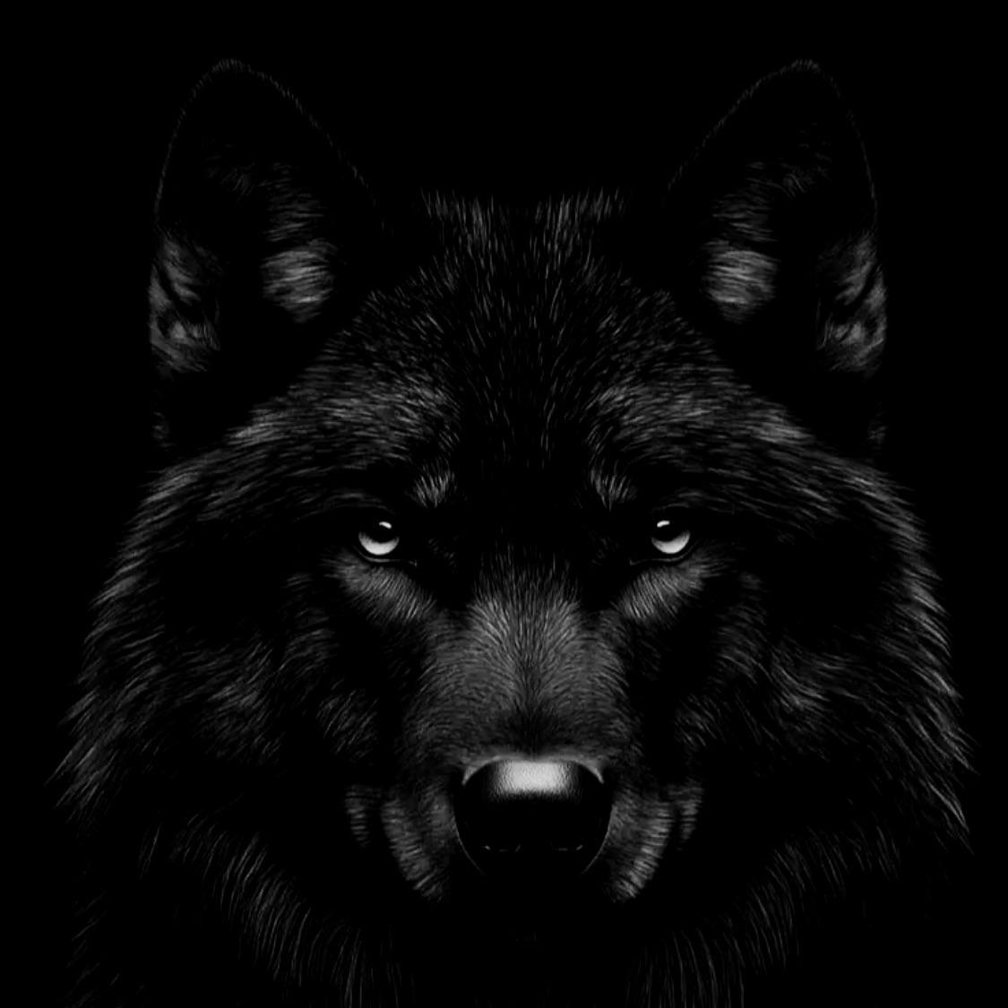 BATIROV___ avatar