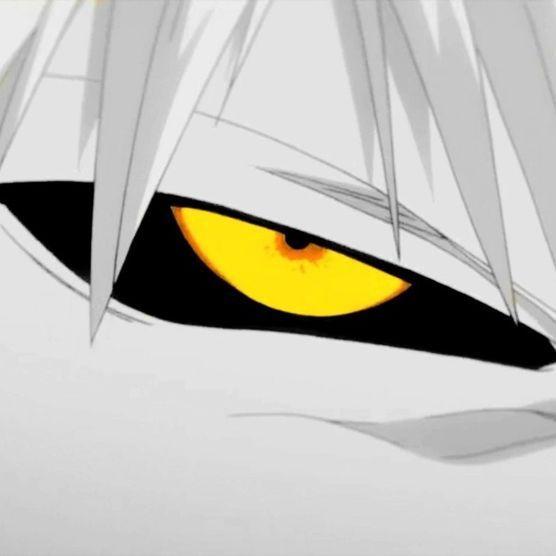 zngts666 avatar