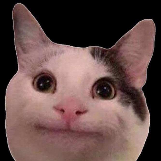 CEL_- avatar