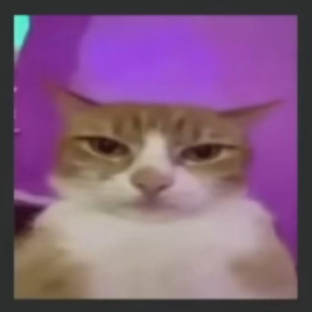 airkii4 avatar
