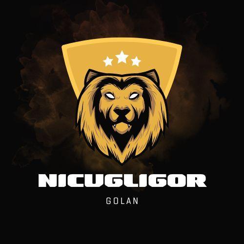 Player NgL20 avatar