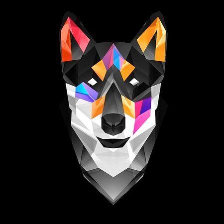 EnigmaWolfie avatar