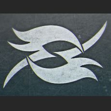 Sicarius