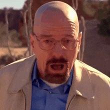 -hayden--