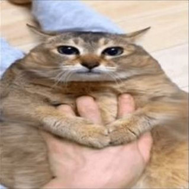 w1ntyn