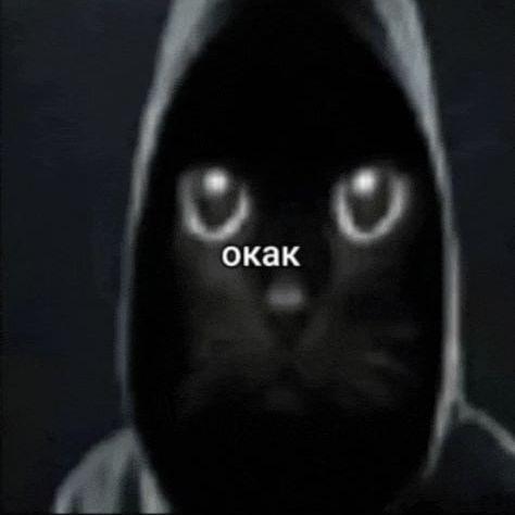 prYzhinka avatar