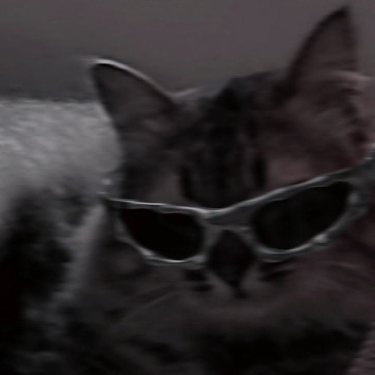 team_dog666