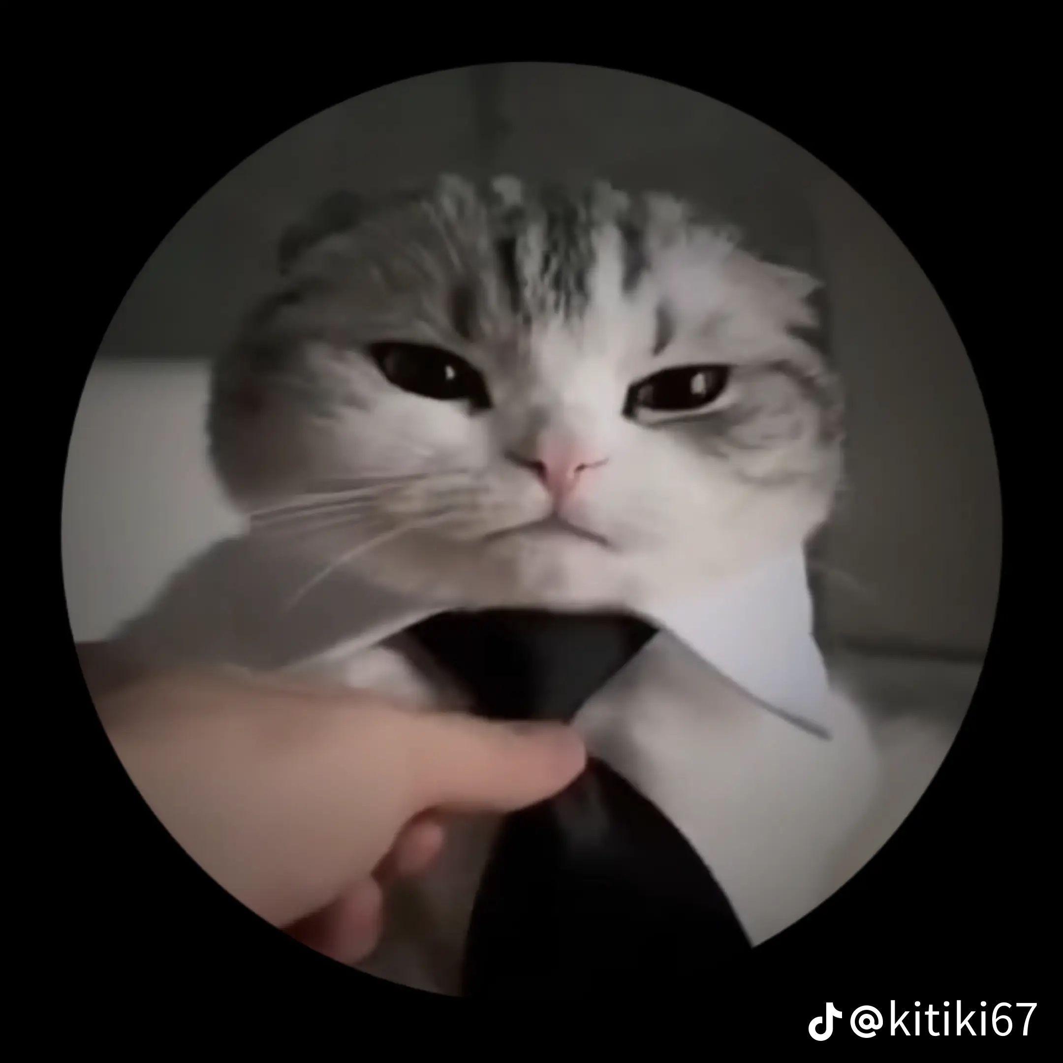 Mnicha avatar