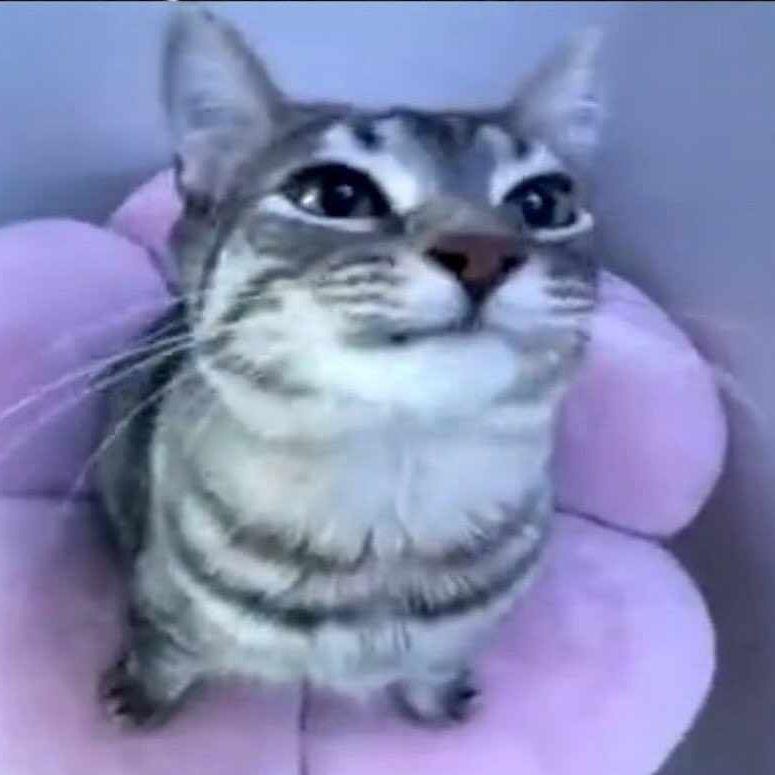 Quertex6 avatar