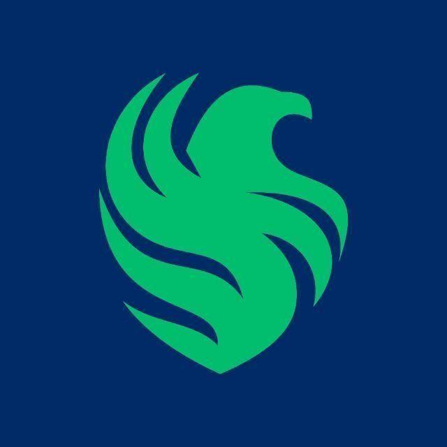 msha17 avatar