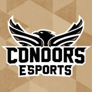 Conestoga