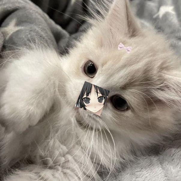 mrzvkt avatar